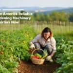 A smiling woman crouches in a lush vegetable garden, harvesting fresh produce by hand and placing it into a wicker basket, illustrating the potential for agriculture in Latin America.