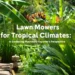 Dense tropical garden with vibrant green foliage and a stone pathway, symbolizing environments where specialized lawn mowers are essential for maintenance.