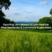 Vast green lawn surrounded by trees under a clear blue sky, symbolizing the growing demand for lawn mowers in Latin America's residential and commercial markets.